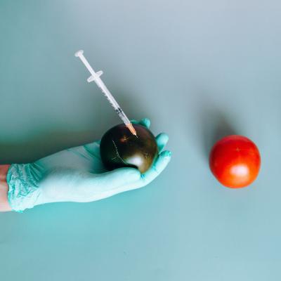 Gloved hand holding fruit with a syringe in it, and a tomato